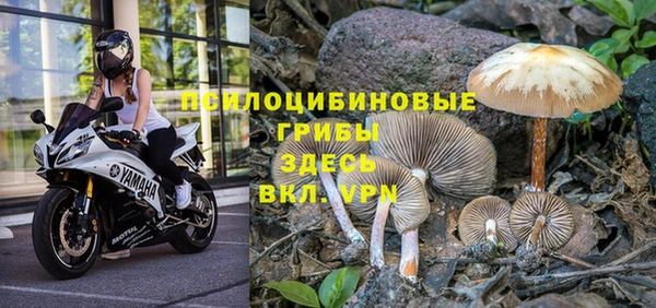 jwh Белокуриха
