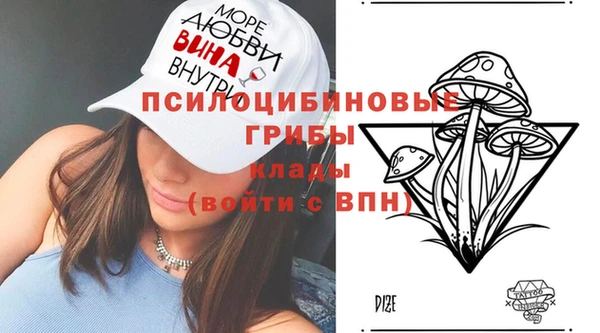 jwh Белокуриха