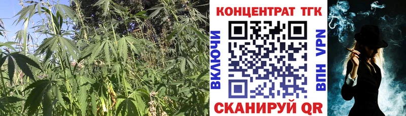 что такое наркотик  Пионерский  Дистиллят ТГК концентрат 