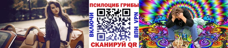 kraken ссылки  Пионерский  Галлюциногенные грибы Cubensis  где купить  